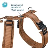 Petlando Hundegeschirr Y-Comfort mit atmungsaktivem Mesh, hoher, weich gepolstert, Cognac S (Halsumfang 34-62 cm, Brustumfang 44-60 cm), Hunde Geschirr kleine Hunde