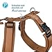 Petlando Hundegeschirr Y-Comfort mit atmungsaktivem Mesh, hoher, weich gepolstert, Cognac S (Halsumfang 34-62 cm, Brustumfang 44-60 cm), Hunde Geschirr kleine Hunde