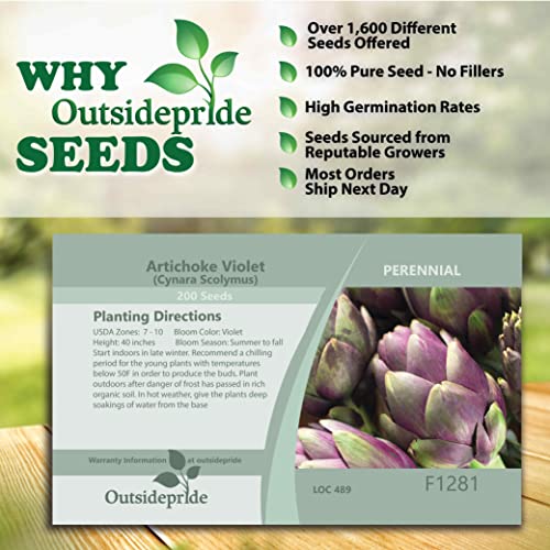 Outsidepride Globe Artichoke Violet For The Vegetable & Herb Garden - 200 Seeds #TOP5