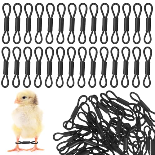 Falzqq 50 Pieces Chick Leg Bands Baby Chicken Splay Hobble Brace Adjustable Poultry Leg Bands for Newborn Chicken Birds Quails Ducks of 1 to 3 Days Newly Hatched