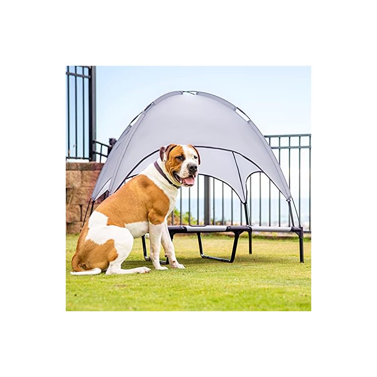 Elevated Dog Cot with Canopy Buy Online