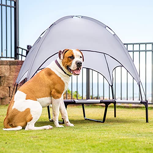 Elevated Dog Cot with Canopy Buy Online