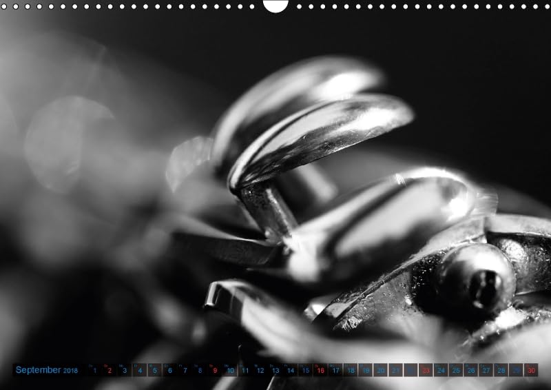 Klarinette - close up (Wandkalender 2018 DIN A3 quer): Detailaufnahmen einer Klarinette (Monatskalender, 14 Seiten ) (CALVENDO Hobbys) [Kalender] [Apr 01, 2017] Drafz, Silvia