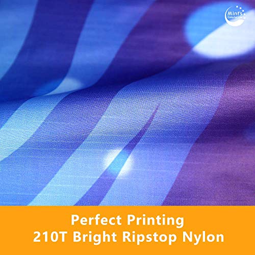 Devil Fish Kite For Kids Adults, Delta Kite Single Line Large, Kite Handle Include (Blue) #TOP2