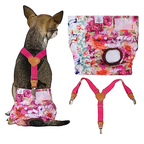 CuteBone Dog Diapers Female 3 Pack Reusable Doggy Diapers with One Suspender for Small Medium Large Dog Period BDD02M