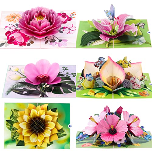 Truance Pop Up Greeting Cards Assortment, 6 Cards, Flower Card, Birthday Cards, Anniversary, Mother Day, Father Day, Thinking Of You, Thank You Card #TOP23