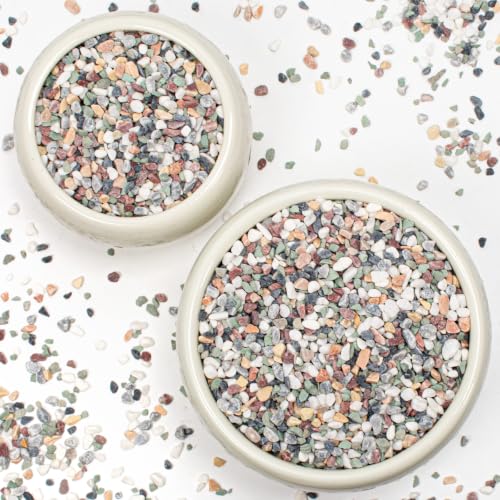 Image of 2lbs Natural Gravel Pebbles for Succulents and Cacti, 1 /5 Inch Decorative River Stones - Perfect for Vases, Aquariums, Terrariums, and Outdoor Gardening, Mixed Colors (Colorful, 2 Pounds)