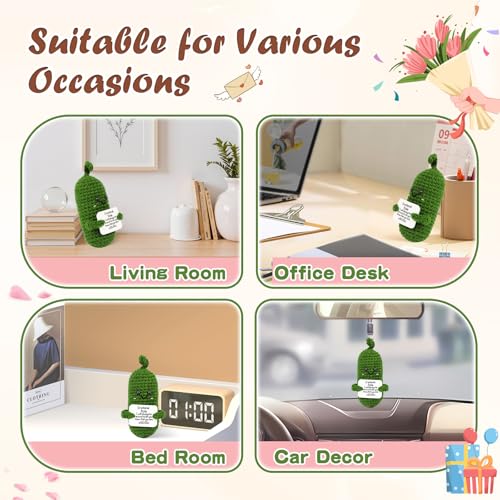 Image of Hoedia Emotional Pickle Small Mother's Day Easter Gifts for Women Men Her Him, Crochet Cucumber Cute Funny Inspirational Support Stuffers College Office Friend Birthday Basket Filler Decorations