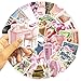 100pcs Vintage Pink Girls Stickers Coquette Pink Aesthetic Stickers for Water Bottles,Laptop Scrapbook Waterproof Computer Phone Guitar Aesthetic Decals