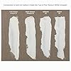 Tusc & Pine Walnut Oil for Painting - 3.4 Oz Bottle, 2 Pack- Professional Artists' Paint Medium, Increase Sheen, Slows Drying Time, Solvent Free Thinner, Refined in Small Batches in North Carolina #5