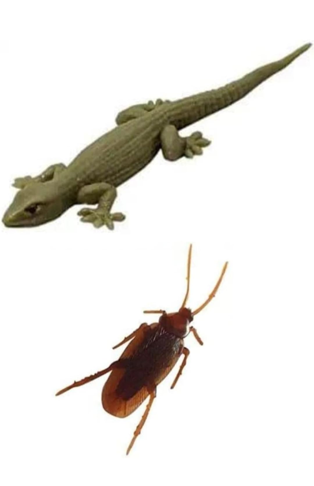 Rs Store (Pack of 2)Cockroach and Lizard Fun Prank Toys for Kids and Adults Realistic Look House Gecko Rubber Practical Jokes and Trick Toys Orignal Looks (B0CT92B67P) Amazon Price History, Amazon Price Tracker