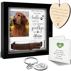 3. Custom Pet Collar