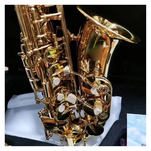 vtFbViTbNXTbNXAg82Z ETbNXyP[XtׂẴANZT[(obOB)