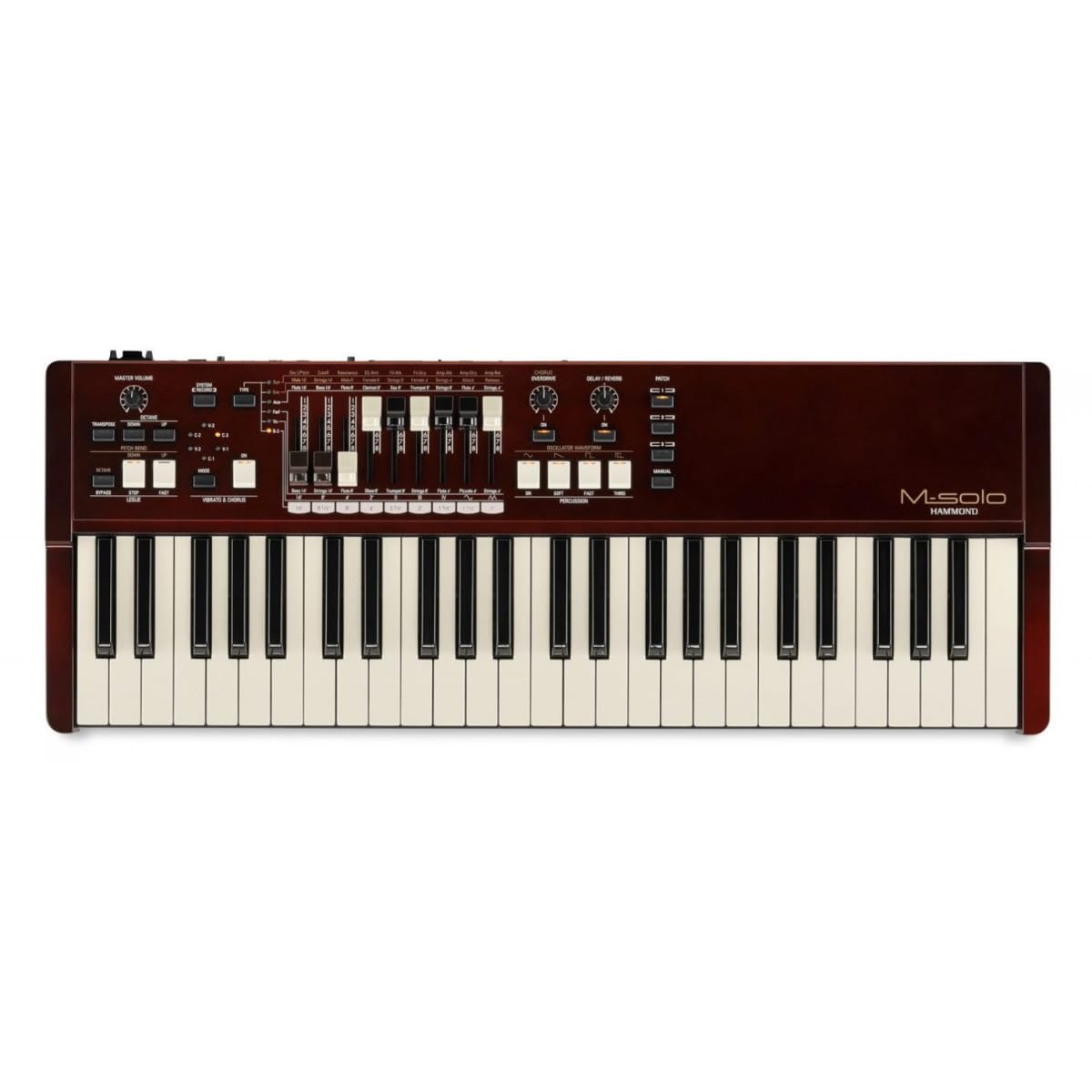 Amazon.com: Hammond SKX Pro Dual 61-key Stage Keyboard/Organ