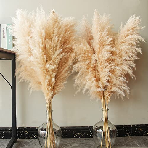 Image of 46 inch inch 10 Stems Natural Pampas Grass Decor Tall, Pompas Grass, Tall Pampas Grass for Weddingm, Farmhouse, Boho Home Decor (Beige)