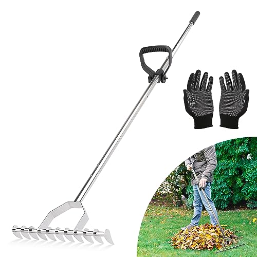 Top 10 Best Rake For Raking Grass Reviews & Buying Guide Katynel