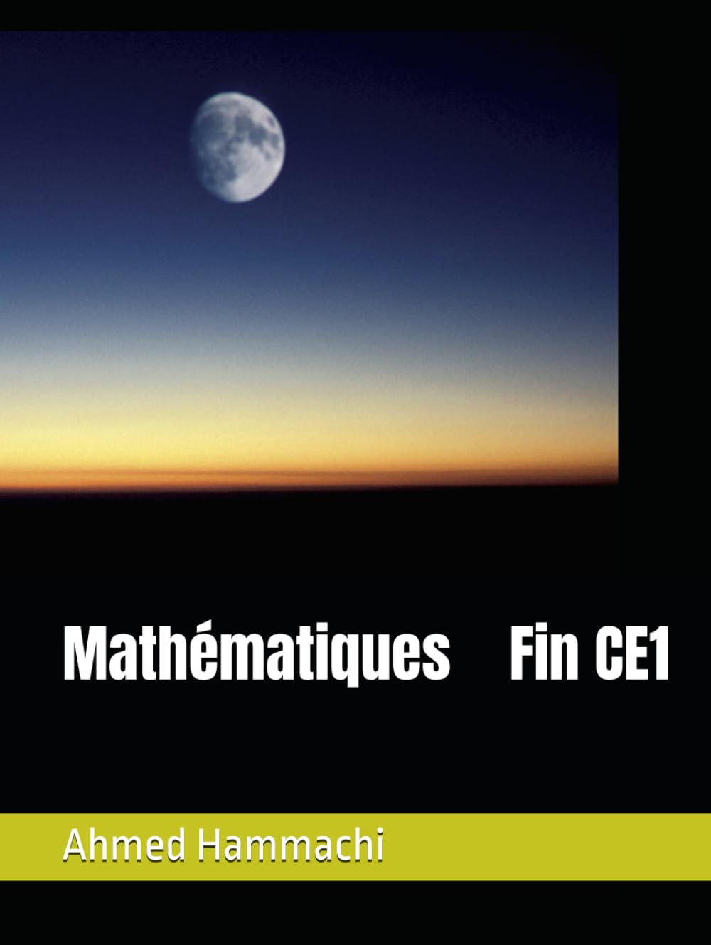 Mathématiques Fin CE1