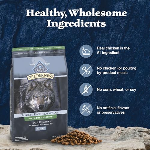 Blue Buffalo Wilderness Adult Hochprotein-Trockenfutter für Hunde mit echtem Huhn, getreidefrei, natürlichen Inhaltsstoffen, Huhn, 10,9 kg Beutel