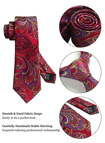 Image of Paisley Floral Mens Tie Formal Necktie Pocket Squares Ties Clips Cufflinks Classic for Men Set