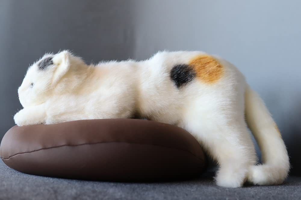 Amazon.co.jp: 童心タグリボン付き 日本製 リアルな猫の