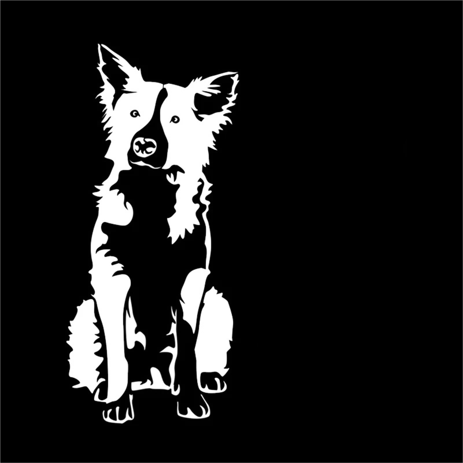 FGLFPXI Board Funny Car Sticker Automobiles Motorcycles Exterior Accessories Reflective Decal,17cm*15cm