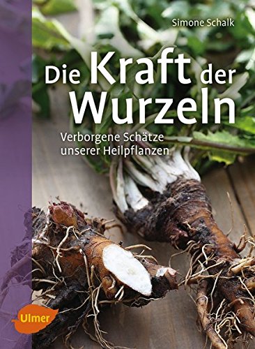 Die Kraft der Wurzeln: Verborgene Schätze unserer Heilpflanzen Die Kraft der Wurzeln: Verborgene Schätze unserer Heilpflanzen