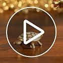 Image of Divine Hindu Feng Shui Wealth & Prosperity Brass Turtle - Ancient Symbol for Longevity, Career Growth, and Financial Stability - Perfect Home & Office Decor Gift | Dhanteras & Diwali Gift