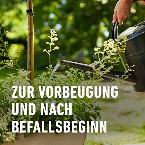 Compo Bio Mehltau-frei Universal AF Spray für Pflanzenpflege