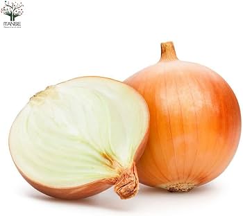 Amazon.co.jp: 玉ねぎ抜き苗 品種：OP黄(中生) 約50本(50本×1束)【品種