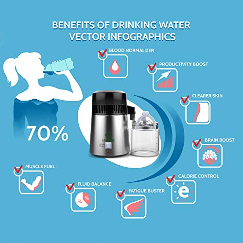 Life Basis Water Distiller Stainless Steel 4 Liter Home Distilled Water Making Machine with Glass Carafe Nozzle Insert and Pure Efficiently - Thumbnail 5