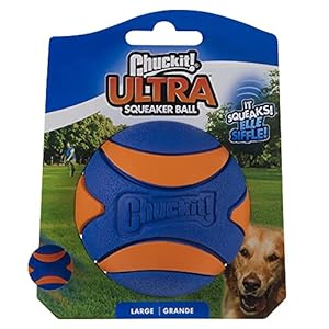 Chuckit Ultra Squeaker Ball Large 1-pack