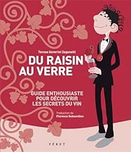 Download DU RAISIN AU VERRE, DECOUVRIR LES SECRETS DU VIN PDF
