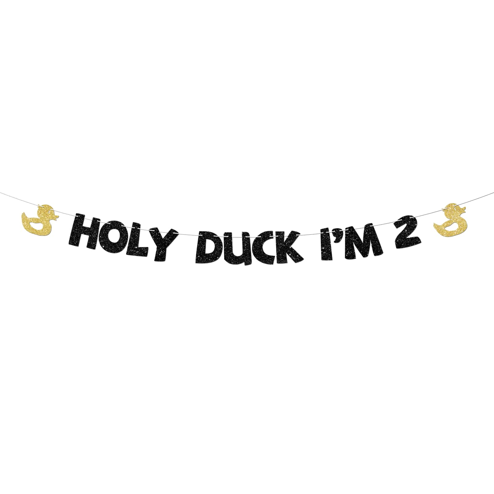 Holy Duck I'm 2 Banner Duck Theme 2nd Birthday Party Decorations Rubber Duck Hanging Decor for Boys Girls Two Years Birthday Party Supplies