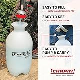 Chapin 20024 Pump Sprayer, 2‑Gallon, Lawn & Garden, Translucent Poly Tank, Funnel‑Top, SureSpray, Adjustable Cone Nozzle & 34' Hose for Fertilizer, Weed & Pest Application, Pack of 2