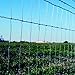 OKLAHOMA STEEL & WIRE 0214-5HINGEJOINT FIELD FENCE