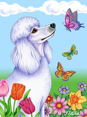 Best of Breed Poodle White Butterfly House Flag
