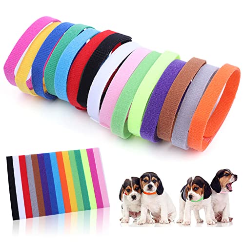 Collier d'identification pour chiot - Réglable - Chaton - Pour petits nouveau-nés - 15 couleurs Cover