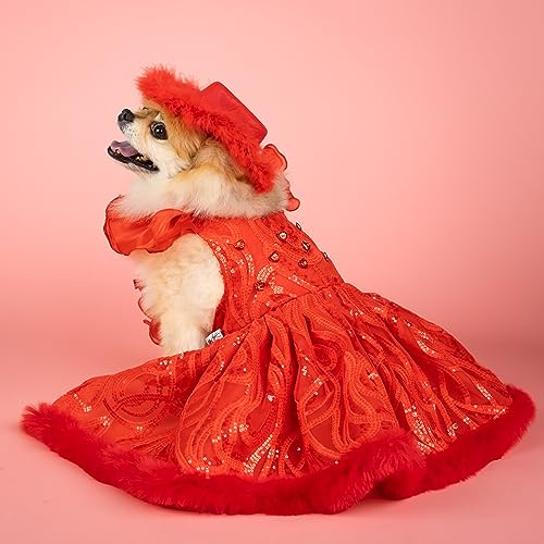 Amazon.com: Doggy Parton: Apparel