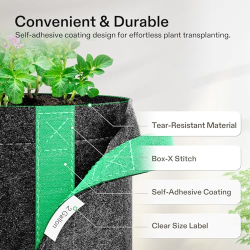 Image of VIVOSUN 10-Pack 2 Gallon Grow Bags, Fabric Pots with Self-Adhesion Sides for Transplanting