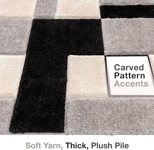 Image of SAGON Anti-Skid Shaggy Carpet Rug for Home | Ultra-Soft Plush Floor Mat for Living Room & Bedroom | Non-Slip, High-Density, Cozy Luxury Decor| 5 x 7 Feet Black - B