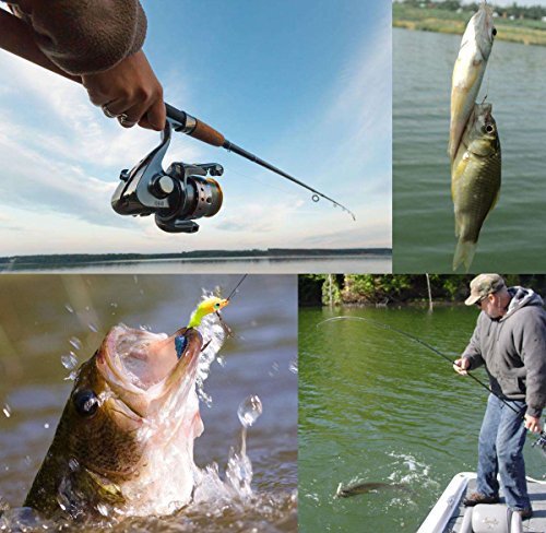 JSHANMEI Angelrute und Rolle Combo Angelset Kohlefaser Teleskop Spinning Tragbare Angelrute Angelausrüstung mit… – Bild 8