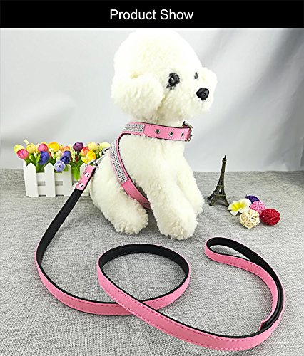 Newtensina Mode Hunde Geschirr mit Diamantes und Leinen Nettes Mädchen Bling Kleines Geschirr mit Leine für Hunde