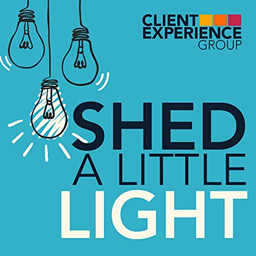 Shed A Little Light Client Experience Group Amazon.in Audible Books