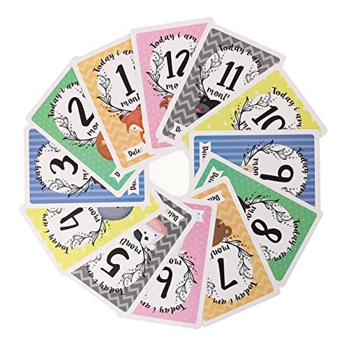 Vaguelly 12fUC xr[J[h V̐L^p f