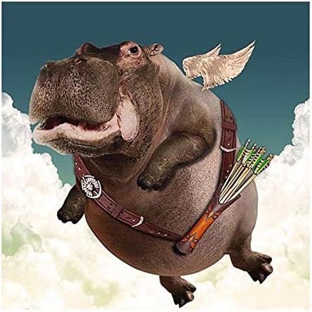 Amazon Co Jp 5ddiyダイヤモンド絵画 漫画カバ ダイヤモンド絵画ラインストーン絵画刺繡動物50x50cm ホビー