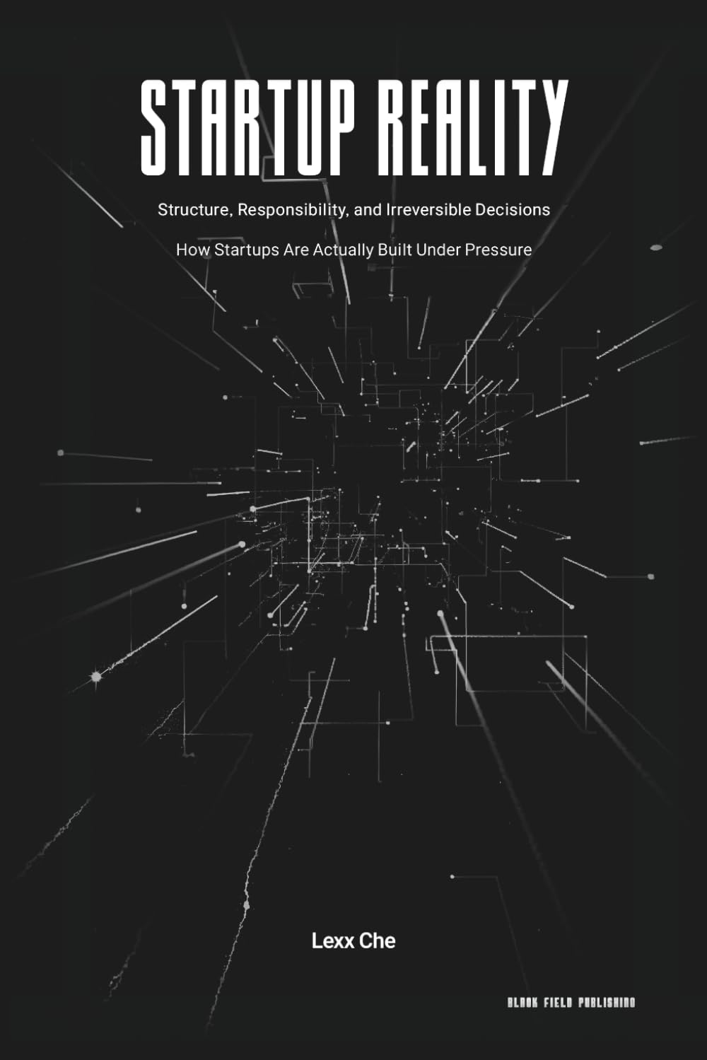 Startup Reality: Structure, Responsibility, and Irreversible Decisions: How Startups Are Actually Built Under Pressure