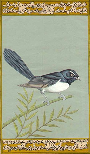 Aquarelle Shrike Exotic India le cadeau d'art idéal avec calligraphie double face