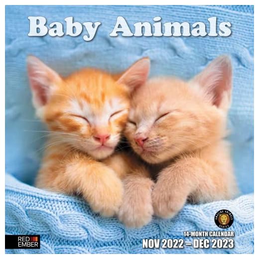 RED EMBER Baby Animals 2023 Hangable Monthly Wall Calendar | 12" x 24" Open | Thick & Sturdy Paper | Giftable | Kids Adorable Animals