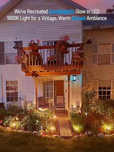 Image of LEONLITE 6-Pack 5CCT Low Voltage Landscape Pathway Lights, 3W, CRI90