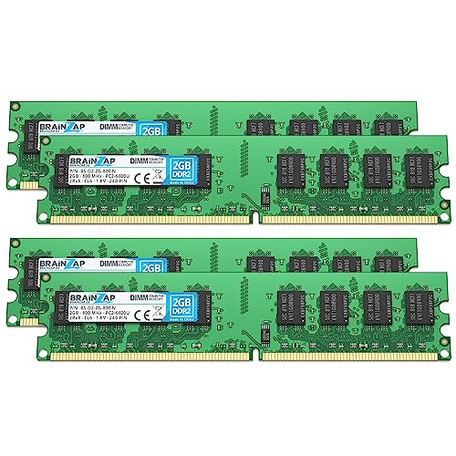 BRAINZAP Memoria RAM DDR2 de 8 GB DIMM PC2 6400U 2Rx8 800 MHz 1,8 V CL6 (4 x 2 GB)